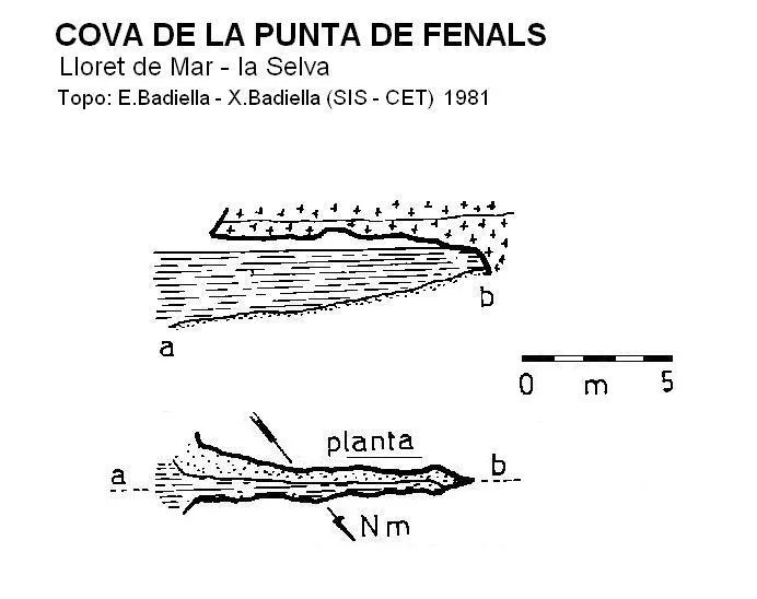 Topografia de PUNTA DE FENALS, COVA DE LA