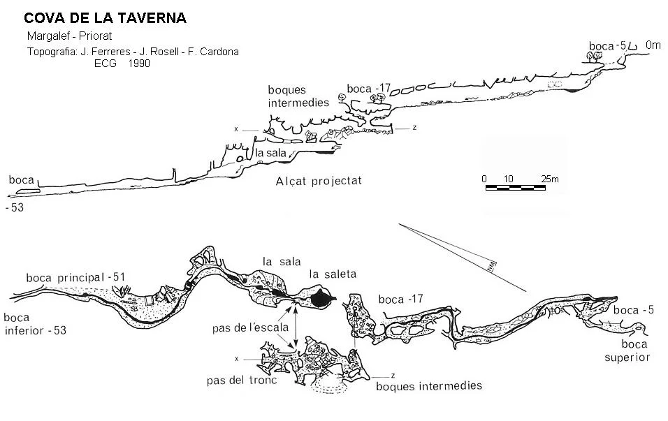 Topografia de TAVERNA, COVA DE LA