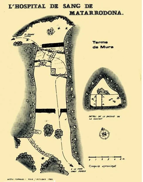 Survey of HOSPITAL DE SANG DE MATA-RODONA, L'