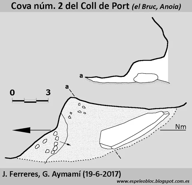 Topografía de COLL DE PORT, COVA Nº2 DE