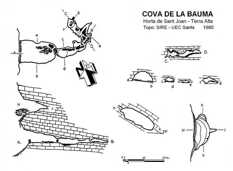 Topografía de BAUMA, COVA DE LA