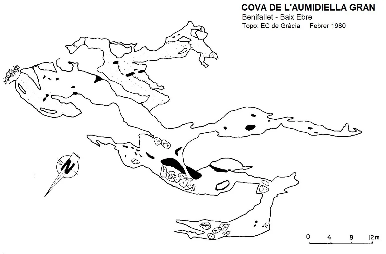 Survey of AUMIDIELLA GRAN, COVA DE L'
