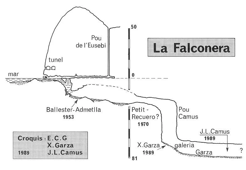 Topografía de FALCONERA, LA