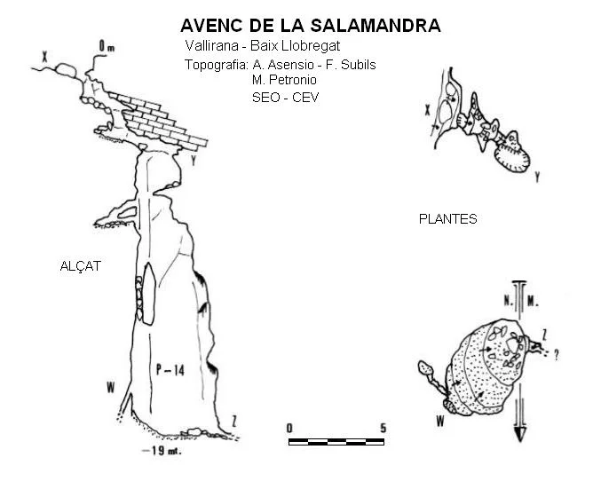 Survey of SALAMANDRA, AVENC DE LA