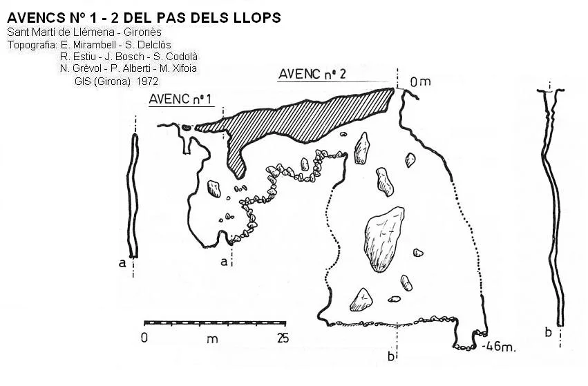 Survey of PAS DELS LLOPS, AVENCS Nº1 I 2 DEL