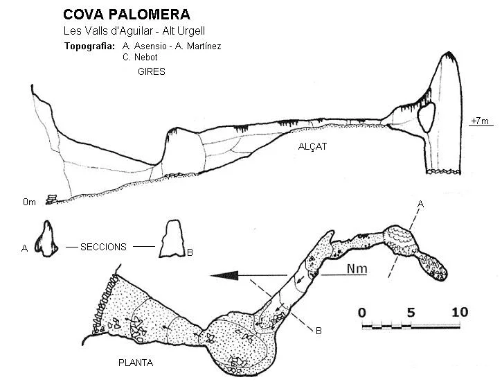 Survey of PALOMERA, COVA