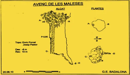 Topografía de MALESES, AVENC DE LES