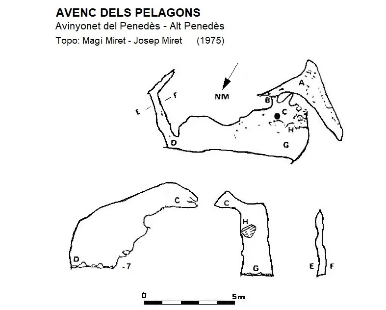 Topografia de PELAGONS, AVENC DELS