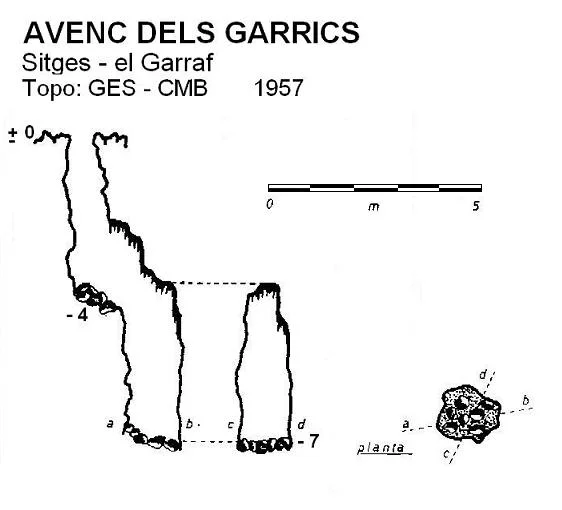 Survey of GARRICS, AVENC DELS