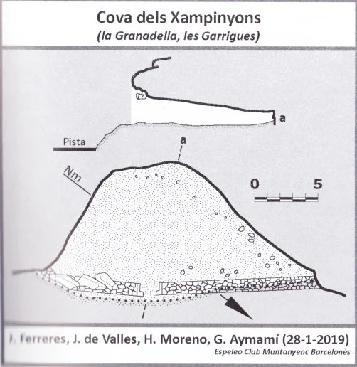 Topografia de XAMPINYONS, COVA DELS