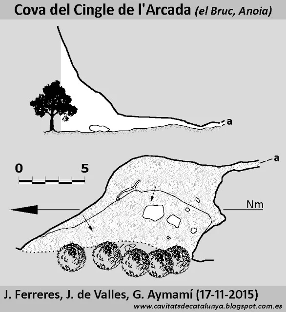 Topographie de CINGLE DE L'ARCADA, COVA DEL