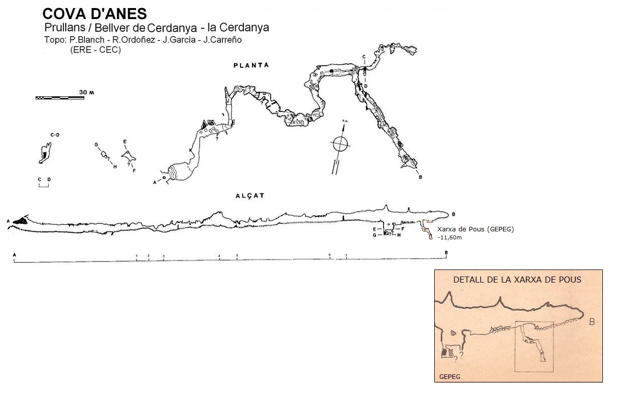 Survey of ANES, COVA D'