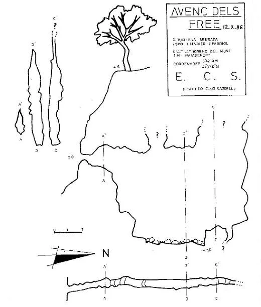 Topografía de FREE, AVENC DELS