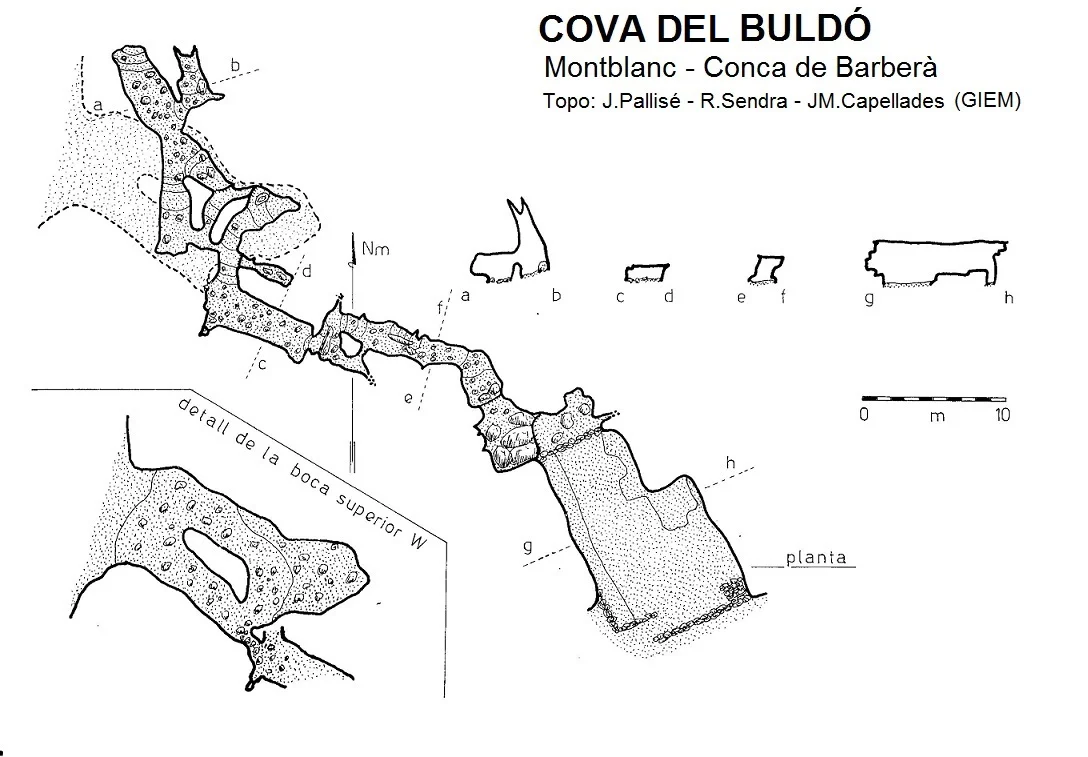 Topografía de BULDÓ, COVA DEL