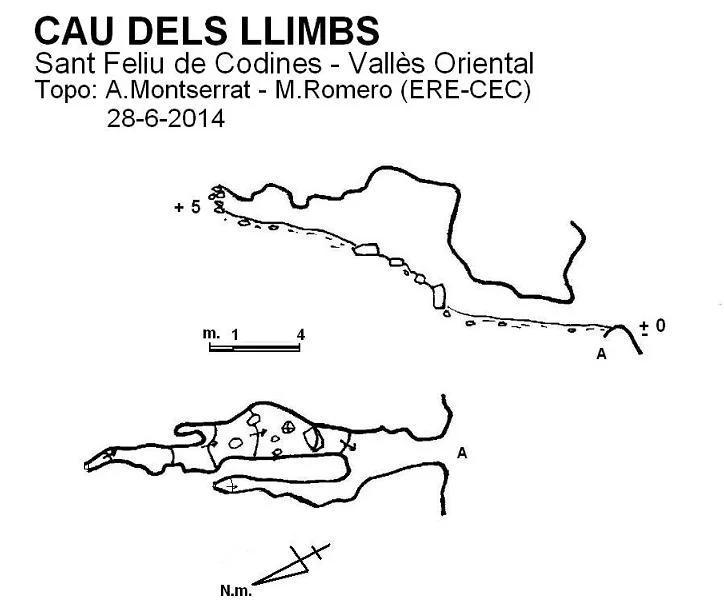 Survey of LLIMBS, CAU DELS