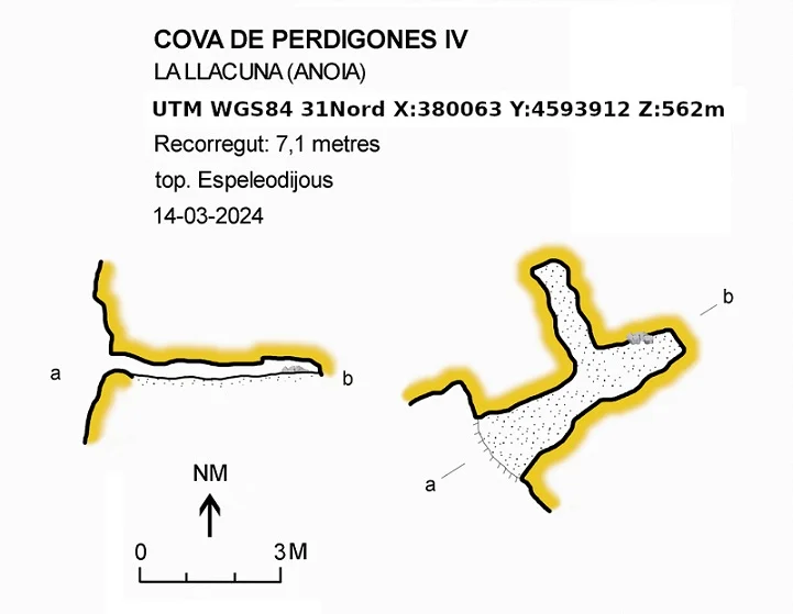 Topografía de PERDIGONES IV, COVA