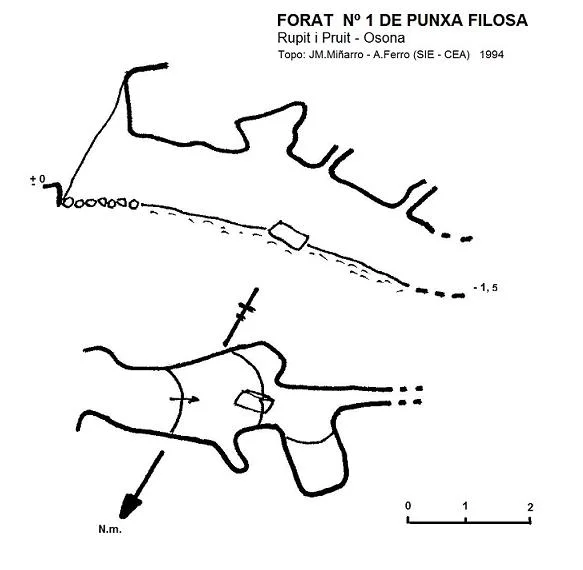 Topografia de PUNXA FILOSA, FORAT Nº1 DE