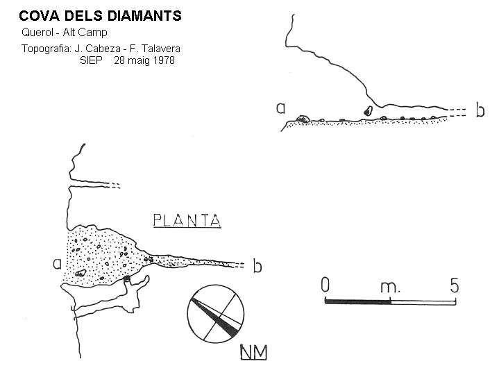 Survey of DIAMANTS, COVA DELS