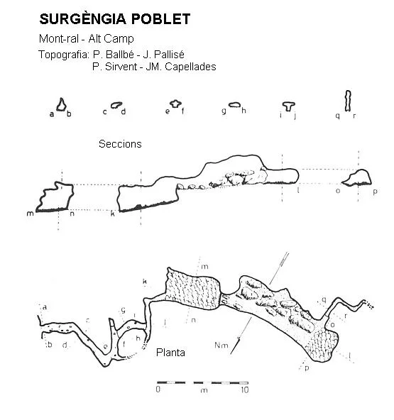 Survey of POBLET, SURGÈNCIA