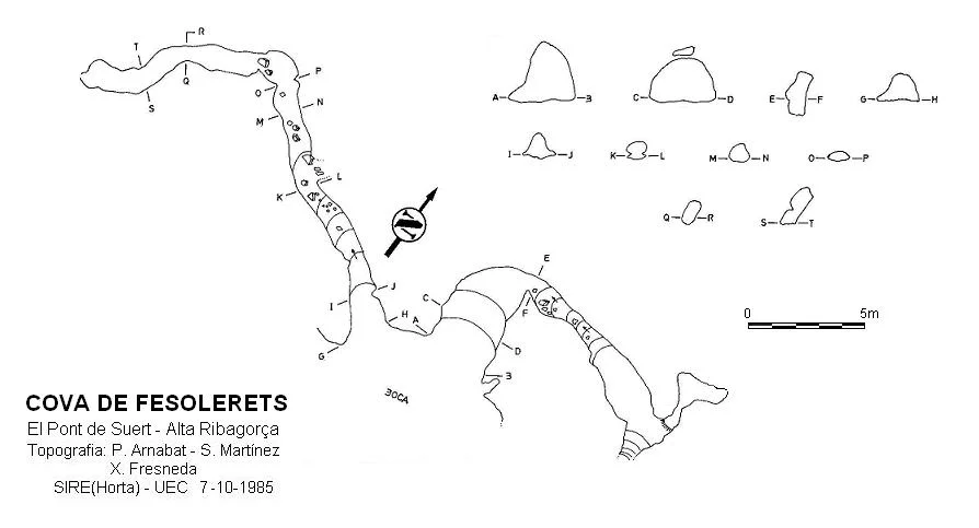 Survey of FESOLERETS, COVA DE