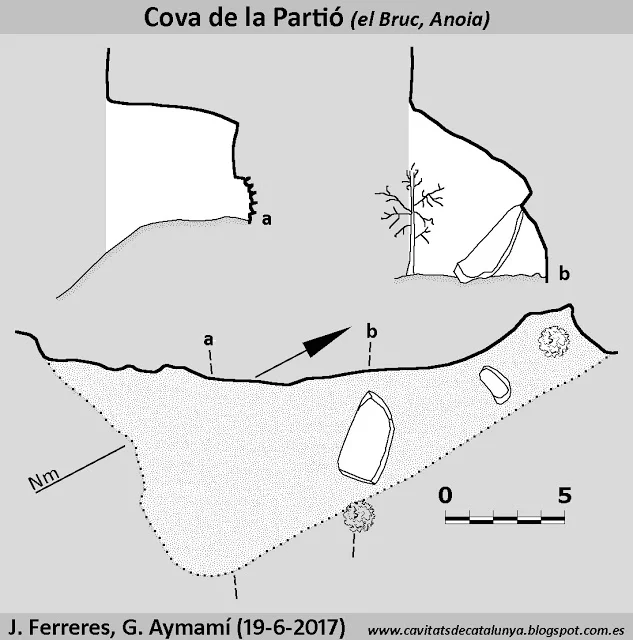 Topografía de PARTIÓ, COVA DE LA