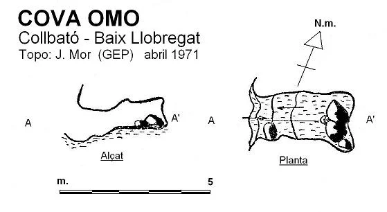 Topografia de OMO, COVA