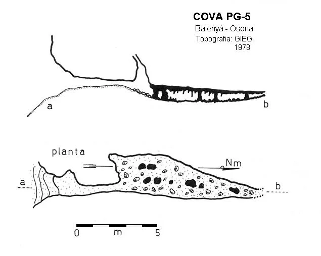 Topografía de PG-5, COVA