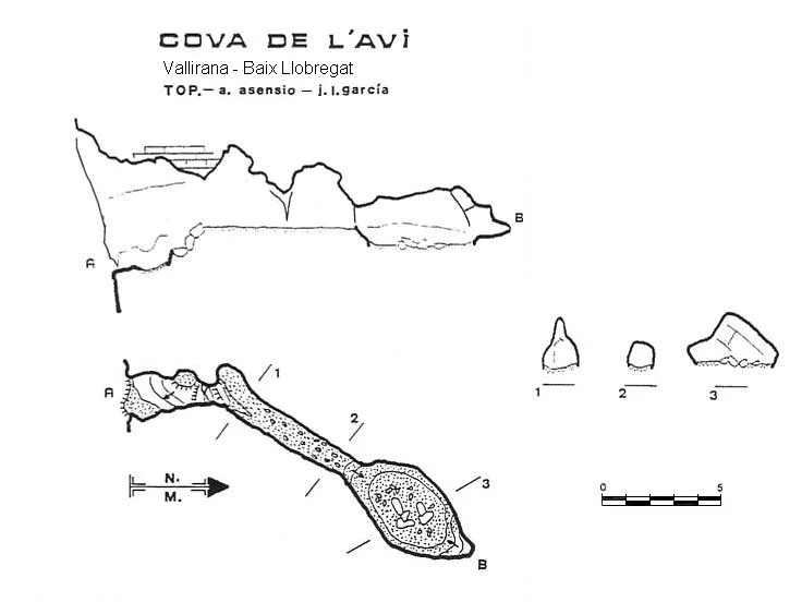 Topografia de AVI, COVA DE L'