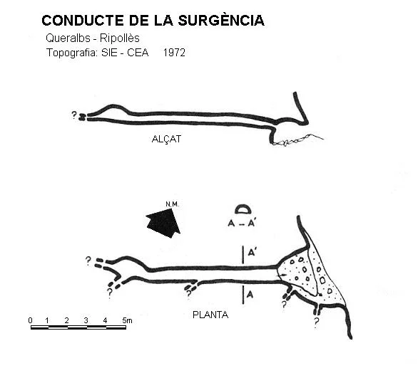 Survey of SURGÈNCIA, CONDUCTE DE LA