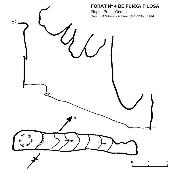 Topografia de PUNXA FILOSA, FORAT Nº4 DE LA