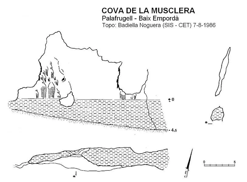 Topografía de MUSCLERA, COVA DE LA