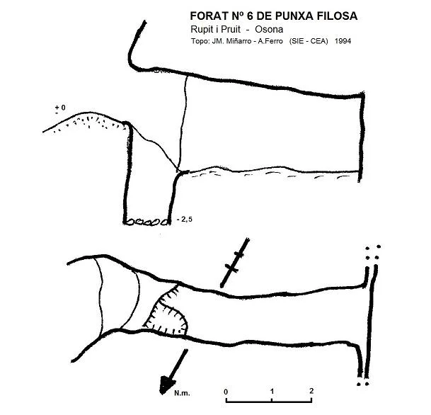 Topografia de PUNXA FILOSA, FORAT Nº6 DE