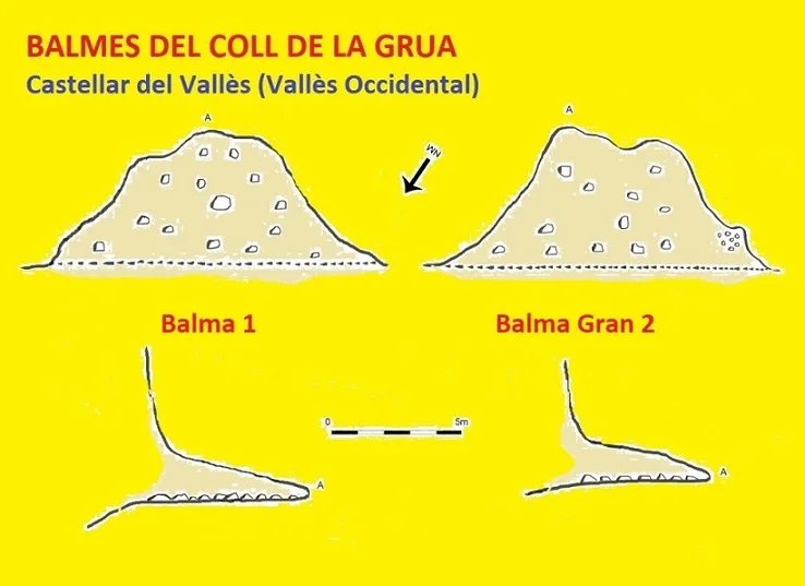 Topografía de COLL DE LA GRUA, BALMES DEL