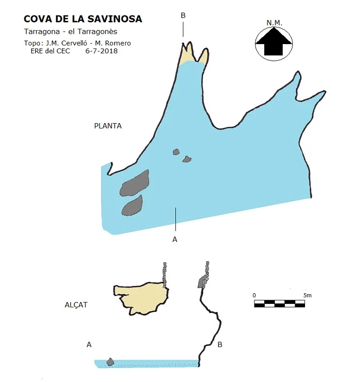 Topografía de SAVINOSA, COVA DE LA