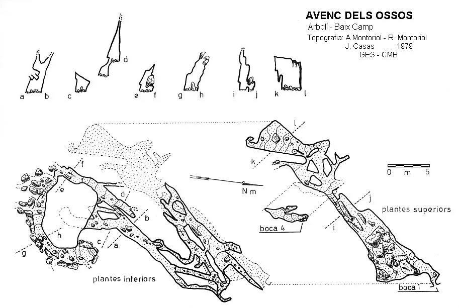 Topografía de OSSOS, AVENC DELS