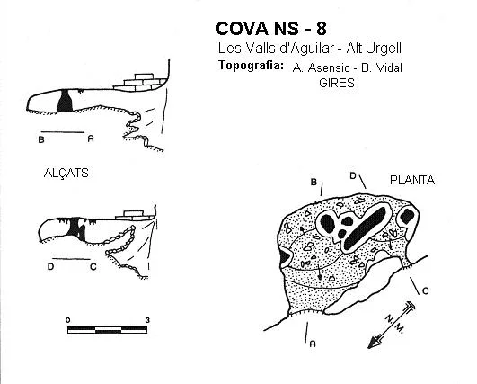 Topografía de NS-8, COVA