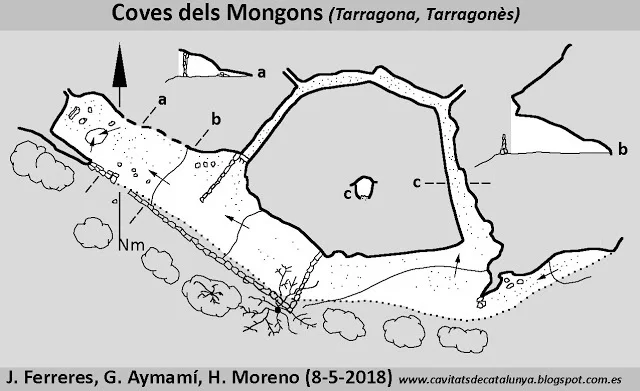 Topografía de MONGONS, COVA DELS