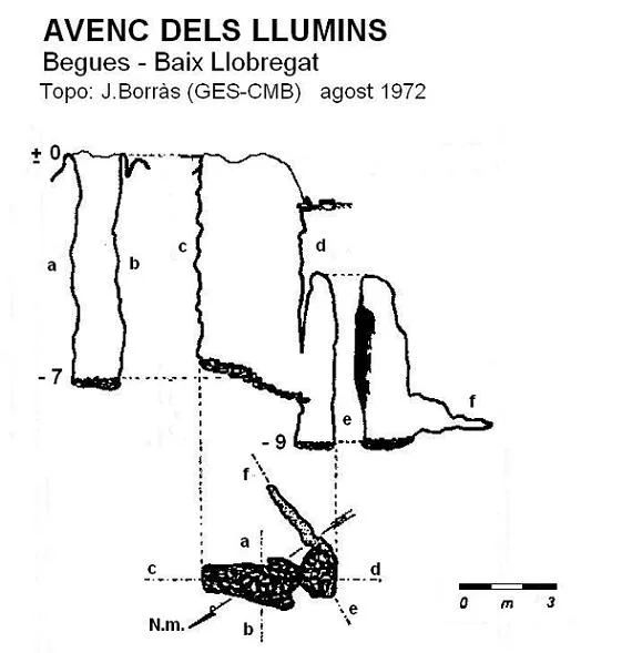 Survey of LLUMINS, AVENC DELS