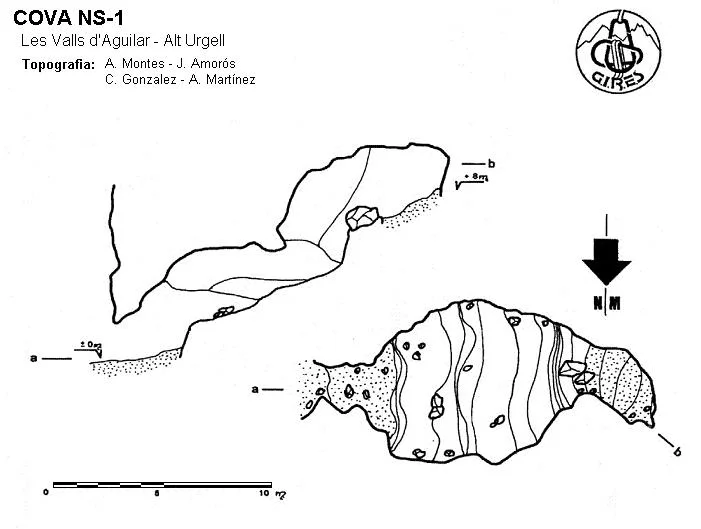 Topografia de NS-1, COVA