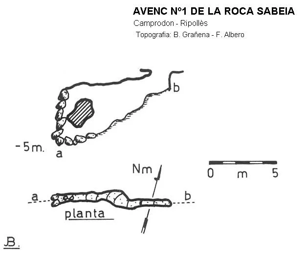 Topografía de ROCA SABEIA, AVENC Nº1 DE LA