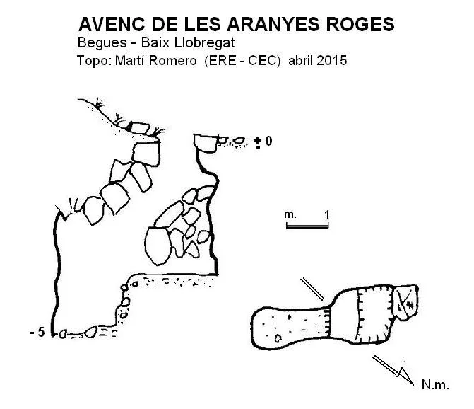 Topografía de ARANYES ROGES, AVENC DE LES