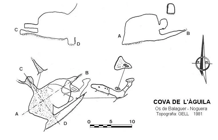 Topografía de ÀGUILA, COVA DE L'