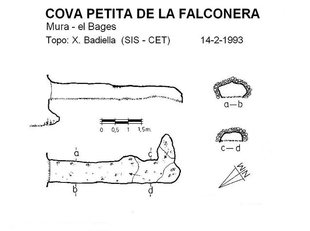Topografia de FALCONERA, COVA PETITA DE LA