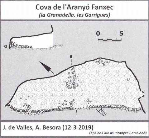Survey of ARANYÓ FANXEC, COVA DE L'