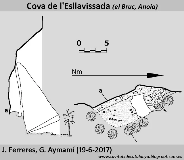Topografía de ESLLAVISSADA, COVA DE L'