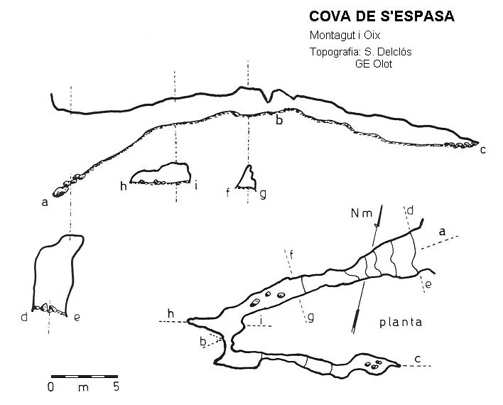 Survey of ESPASA, COVA S'