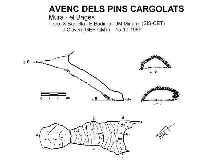 Topografía de PINS CARGOLATS, AVENC DELS