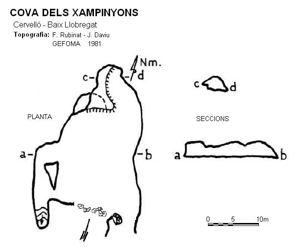 Topografía de XAMPINYONS, COVA DELS