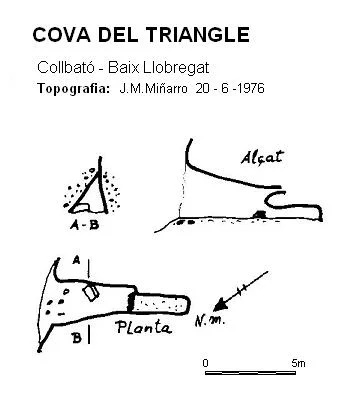 Survey of TRIANGLE,  COVA DEL