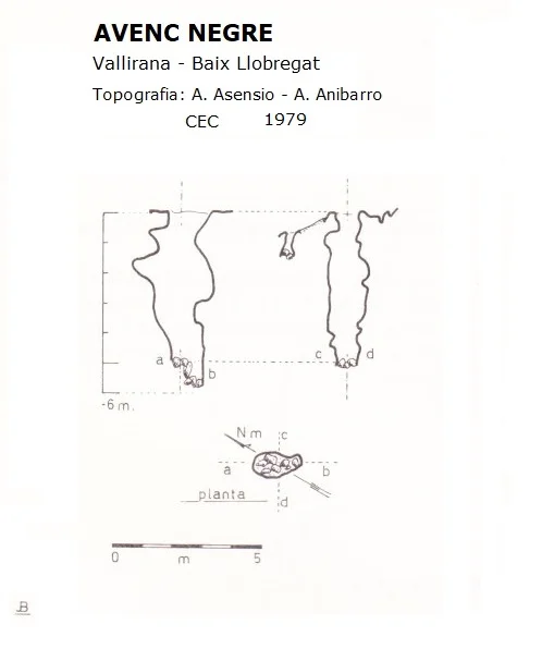 Survey of NEGRE, AVENC